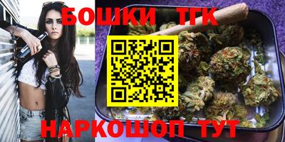 мдпв Татарск