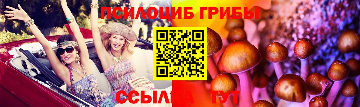 Псилоцибиновые грибы Psilocybe Полысаево